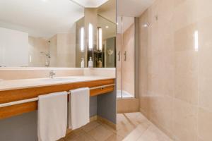 圣罗兰度瓦圣洛朗港尼斯假日酒店的一间带水槽和淋浴的浴室