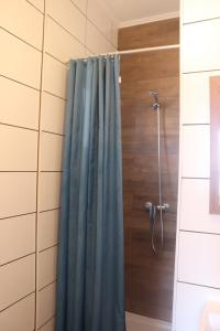 奥尔塔Porto Pim Guest House的浴室内配有蓝色淋浴帘