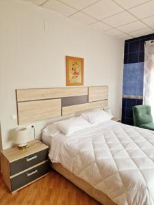 科尔多瓦Hostal El Brillante - Alojamientos El Duque的卧室配有一张白色大床和一把椅子