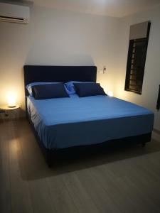 帕皮提Charmant F2 à SkyNui, piscine de 25m et vue mer的卧室内的一张带蓝色枕头的床