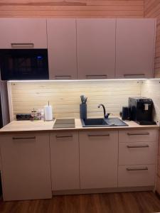 采西斯Tiny House Cēsis的厨房配有白色橱柜、水槽和微波炉