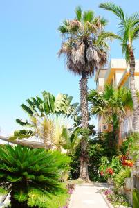 曼塔安塔尔酒店的房屋前的棕榈树