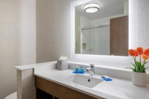 MoundsvilleHoliday Inn Express & Suites - Moundsville, an IHG Hotel的一间带水槽和镜子的浴室