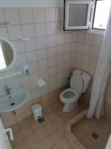 斯基亚索斯镇Alexandros Guest House的一间带卫生间、水槽和镜子的浴室