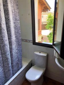 格拉纳达APARTAMENTOS CASERIA DE COMARES的一间带卫生间和淋浴帘的浴室
