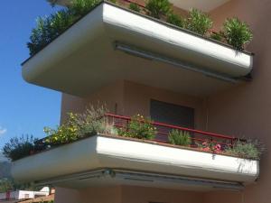 卡斯拉诺Sonnige 35 Zi-Ferienwohnung in Caslano的建筑一侧种植植物的阳台