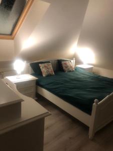 卡齐米日-多尔尼DOM NAD STAWEM的一间卧室配有一张带绿床单的床和两盏灯。