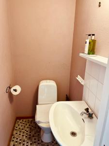 瓦尔贝里Casa Korallen的一间带卫生间和水槽的小浴室