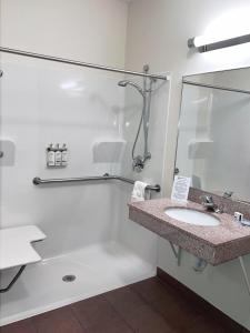 奥拉西奥拉西烛木套房酒店的一间带水槽和淋浴的浴室