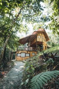 LamasChirapa Manta Amazon Lodge的森林中间的树屋
