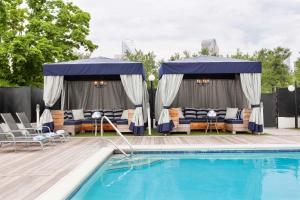 夏洛特夏洛特喜来登酒店的游泳池旁的游泳池配有椅子和遮阳伞
