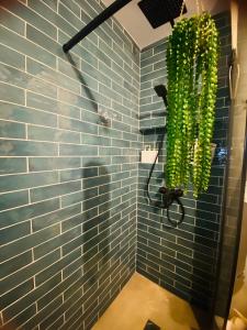 马德里ElenaHost City Park Center 5的浴室设有蓝色瓷砖墙和淋浴。
