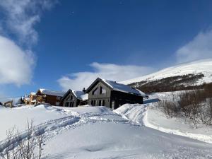 奥普达尔Vangslia, Oppdal. Lekker leilighet med ski inn/ski ut的雪覆盖的山顶上的房子
