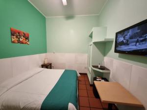 萨尔塔雷富希奥德尔印加酒店的小房间设有一张床和一台平面电视