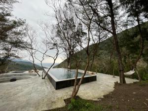 盐寮清和山房民宿的森林中央的游泳池