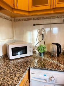 里斯本Lisbon Airport Guesthouse的厨房台面上配有微波炉