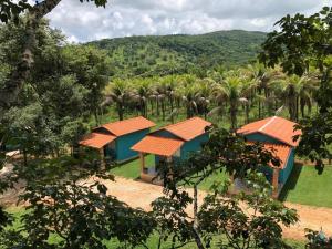 皮雷诺波利斯Pousada Casa Ferreira的棕榈树度假村的空中景致