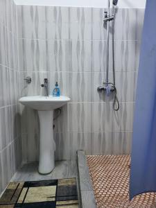KurmentyКольсайские озера, гостиница Айару的一间带水槽和淋浴的浴室