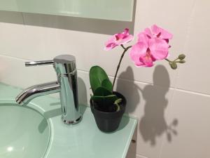 巴尔德莫萨塞拉德特拉蒙塔纳旅馆的浴室水槽,盆里装有粉红色的花