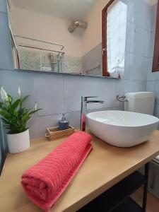 威尼斯Appartamento Alla Salute的浴室设有水槽,并在柜台上提供红色毛巾