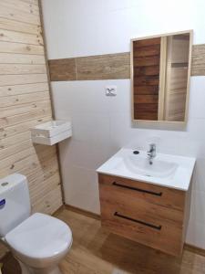 波别罗沃Domki Pod Dębami的一间带卫生间、水槽和镜子的浴室