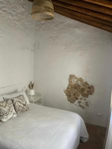 格拉茨莱马Casa Lucas的卧室配有一张床,墙上挂有绘画作品
