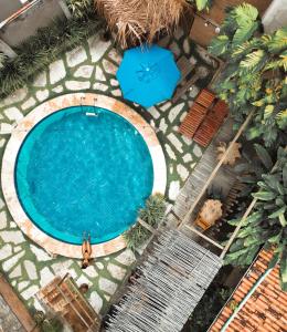 拉巴拉德纳圣米格尔月亮旅馆的享有带2把蓝色椅子的游泳池的顶部景致