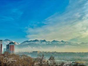 阿拉木图Modern Studio with Panoramic Mountain View的享有以山脉为背景的城市美景