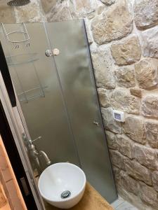 萨法德בר יוחאי的带淋浴和白色卫生间的浴室