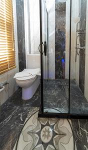 安塔利亚THE LITTLE PRINCE BOUTIQUE HOTEL的一间带卫生间和玻璃淋浴间的浴室