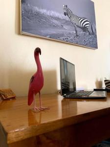 纳库鲁Splendid stay in Nakuru的一只玩具鸟站在笔记本电脑旁边的桌子上