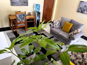 纳库鲁Splendid stay in Nakuru的带沙发和植物的客厅