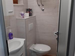 萨普伦纳拉弗兰卡萨普伦纳拉公寓的浴室配有白色卫生间和盥洗盆。