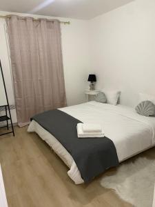 阿让特伊appartement luxueux 70m2, 2 chambres的一间卧室配有一张带黑白毯子的床