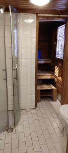 卡拉约基Punatulkku的带淋浴和卫生间的浴室