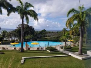 圣安尼Studio avec vue mer exceptionnelle, plage et piscine, Village Vacances Sainte-Anne的享有棕榈树游泳池的景色
