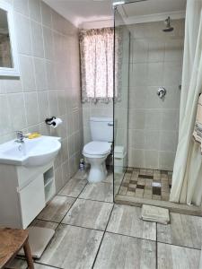 海姆维尔Yellowwood Cottage的浴室配有卫生间、盥洗盆和淋浴。