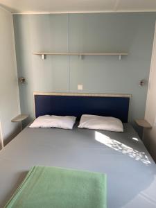 纳博讷普拉日Location Mobilhome的一间卧室配有一张带绿毯的床