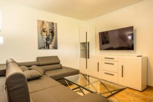 斯洛文尼亚格拉代茨Relax & Beautiful View的带沙发和平面电视的客厅