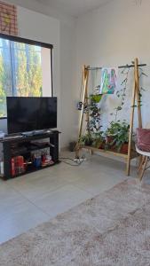 福尔摩沙Complejo Junin Dpto Planta Alta的客厅配有平面电视和植物