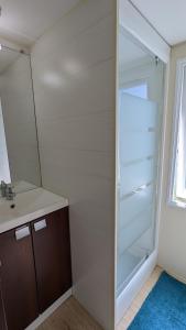 圣让德洛讷Cottage flottant jacuzzi privé en option gamme supérieure的一间带玻璃冰箱和水槽的浴室