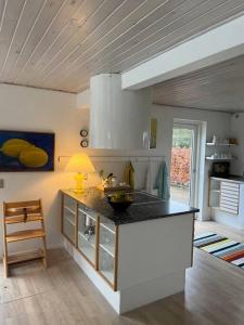 吉弗Skønt hus på landet tæt på Billund的一间厨房,在房间内配有台面