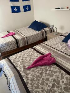 韦拉克鲁斯Casa de tus Sueños Dream Lagoons Veracruz的客房内的两张床和粉红色的毛巾