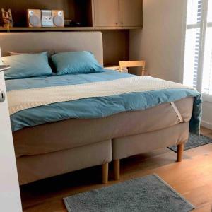 马斯梅赫伦Casa Sandra Elisa的一间卧室配有一张带蓝色枕头的大床