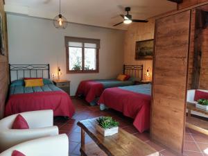 洛萨尔德拉韦拉Hotel Rural La Covacha的一间带两张床和一张沙发的客厅