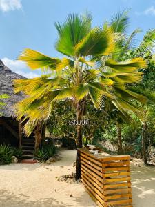 基济姆卡济Embe Lodge的海滩上的棕榈树,毗邻一座建筑