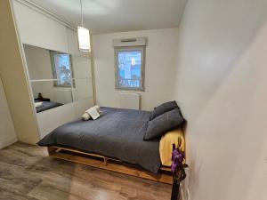 卡威尔奎T2 Parc & Cité Internationale的一间卧室配有一张床和镜子