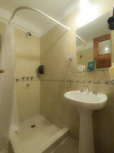 萨尔塔Blanc Hotel Boutique的一间带水槽和淋浴的浴室