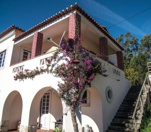 菲盖拉-达福什Casa na Floresta的前面有一棵树的白色房子