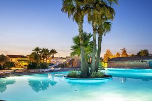 维多邦Résidence Niccola的度假村内一座种有棕榈树的大型游泳池
